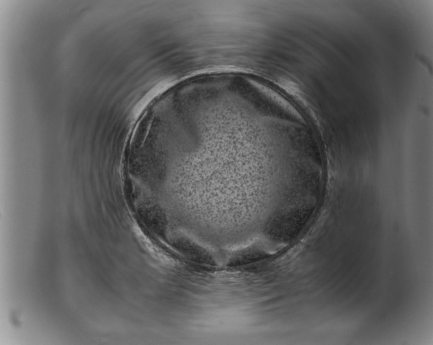 X0000099471181200805231823