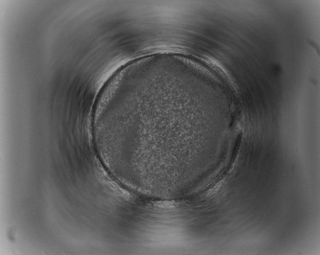 X0000099471182200805231823