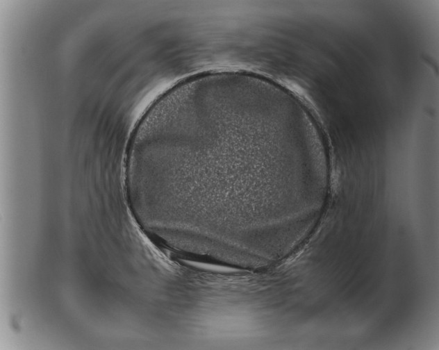 X0000099471183200805231823