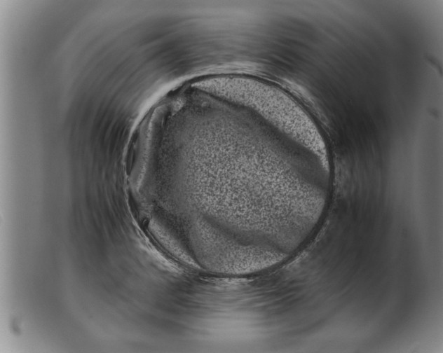 X0000099471184200805231823