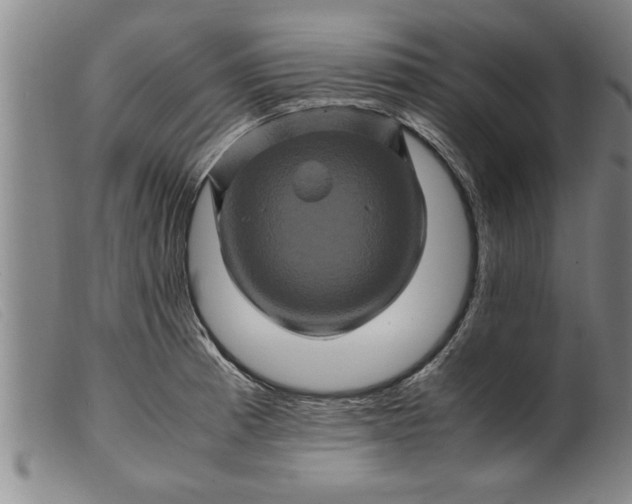X0000099471185200805231823