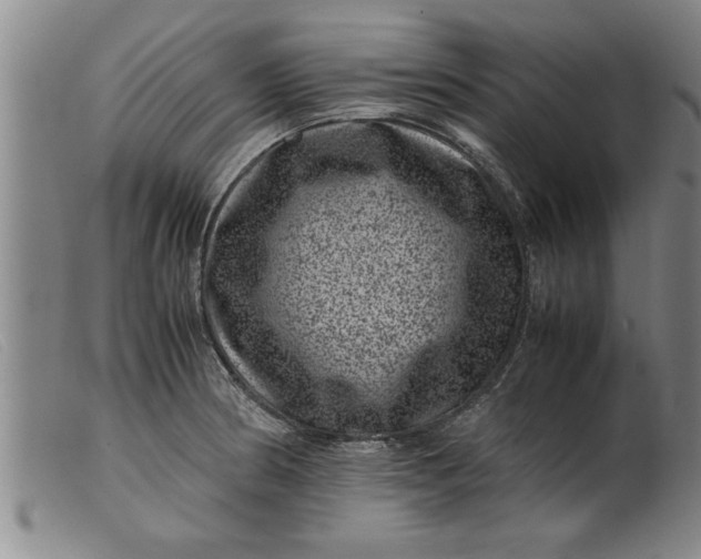 X0000099471186200805231823