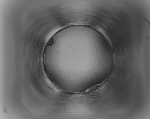 X0000099471187200805231823