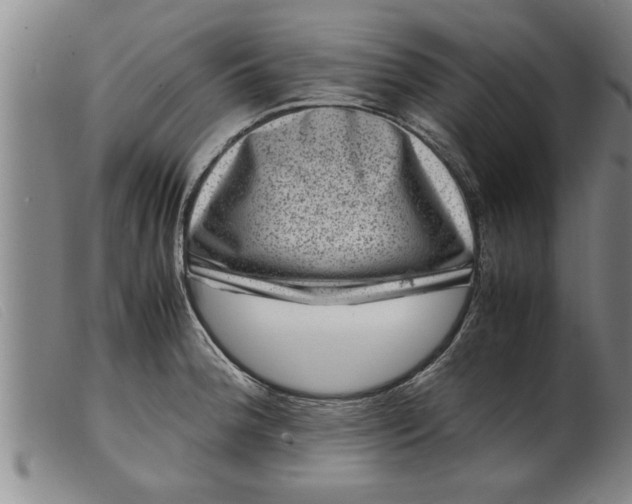 X0000099471188200805231823