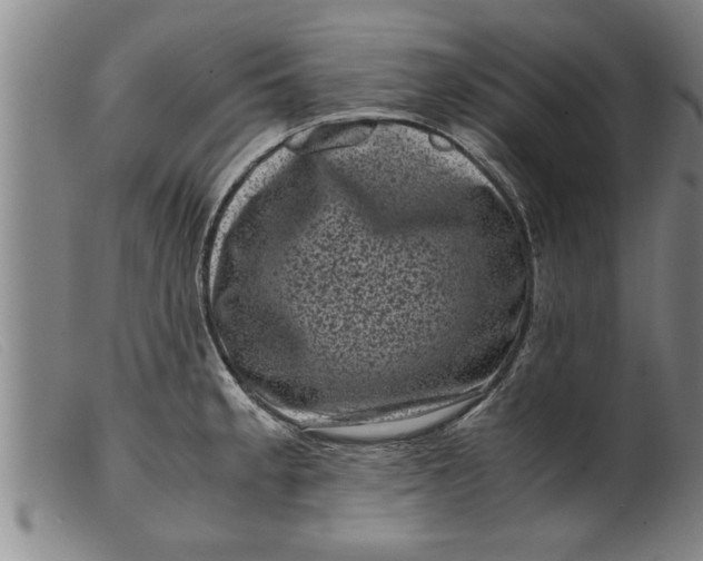 X0000099471189200805231823