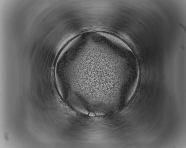 X0000099471190200805231823