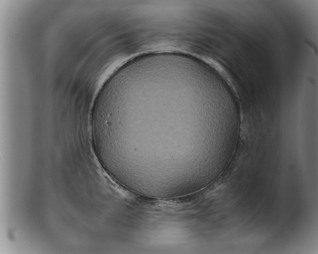 X0000099471191200805231823