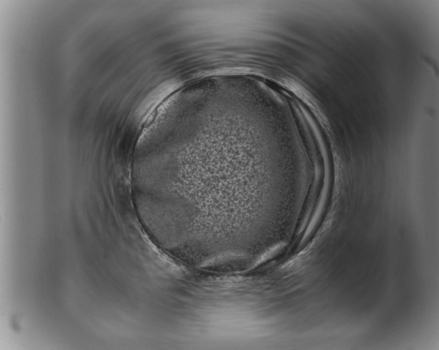 X0000099471193200805231823