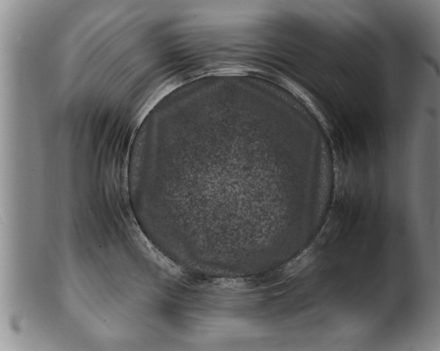 X0000099471194200805231823