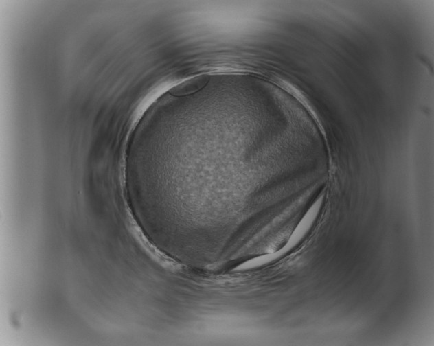 X0000099471195200805231823