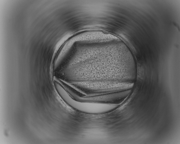 X0000099471196200805231823