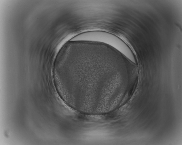X0000099471197200805231823