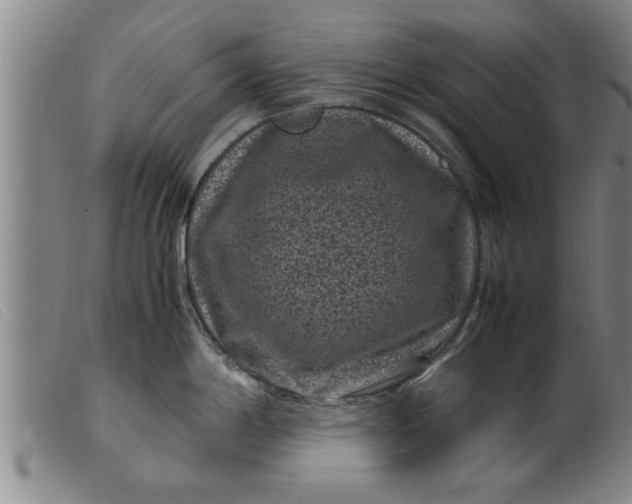X0000099471198200805231823