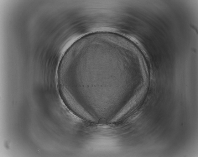 X0000099471199200805231823