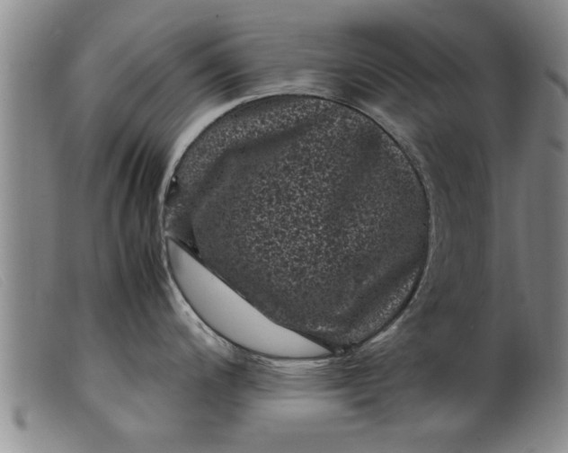 X0000099471200200805231823