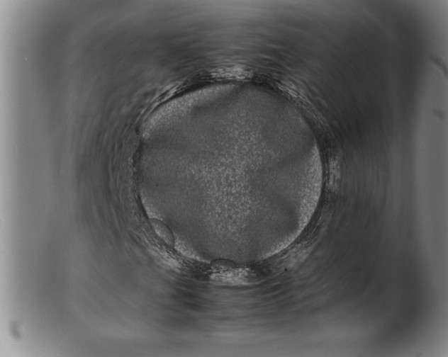 X0000099471201200805231822