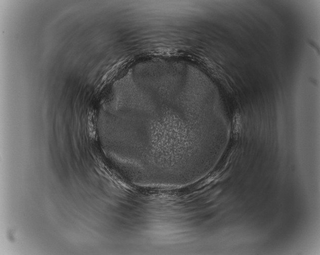 X0000099471202200805231822