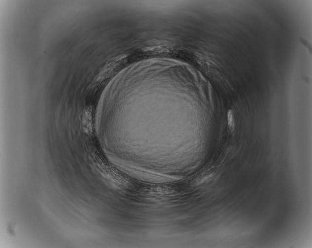 X0000099471203200805231822