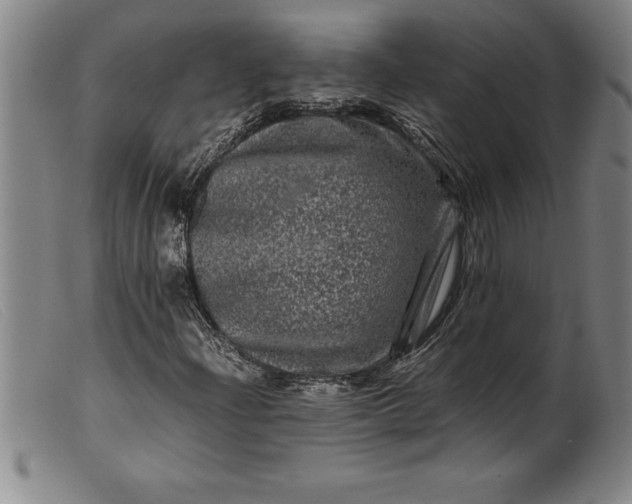 X0000099471204200805231822