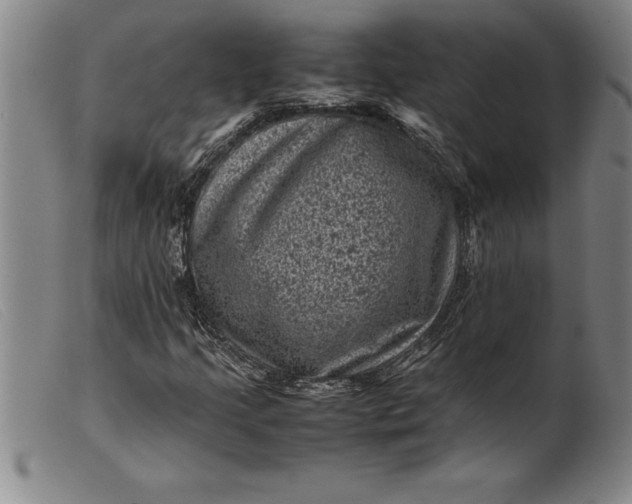X0000099471205200805231822