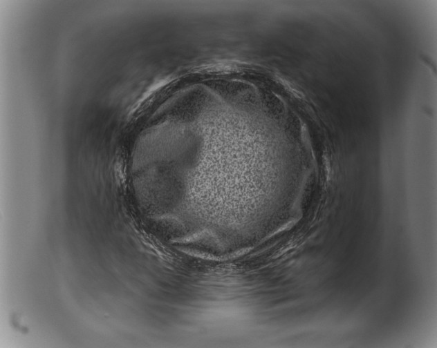 X0000099471206200805231822