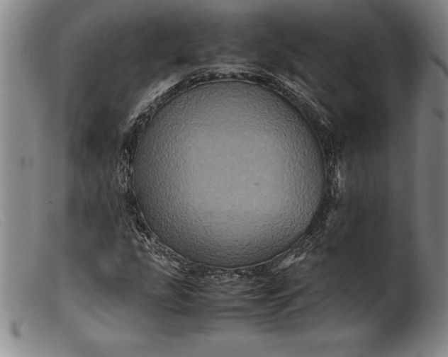 X0000099471207200805231822