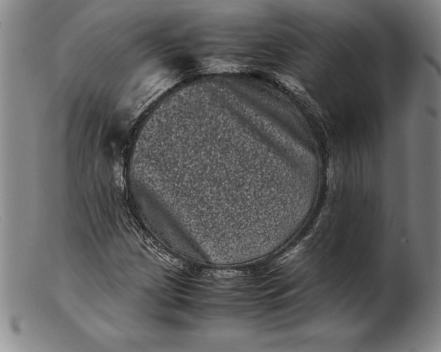 X0000099471209200805231822
