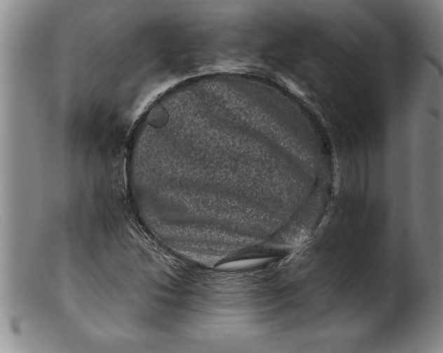 X0000099471214200805231822
