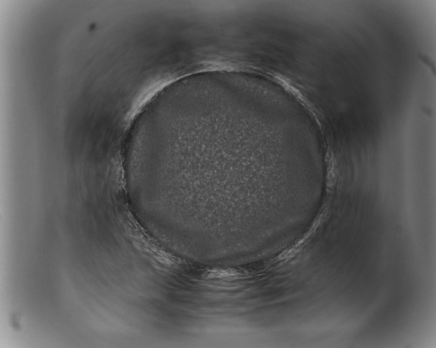X0000099471215200805231822