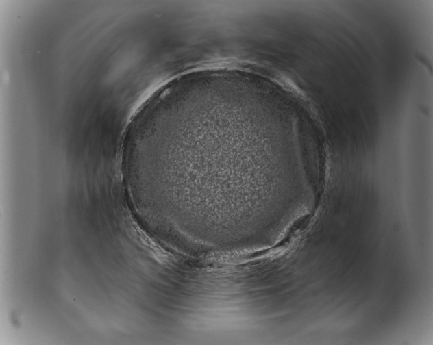 X0000099471216200805231822