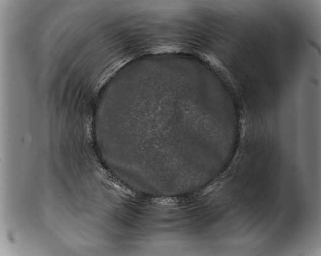 X0000099471217200805231822
