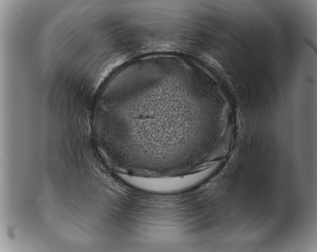 X0000099471218200805231822
