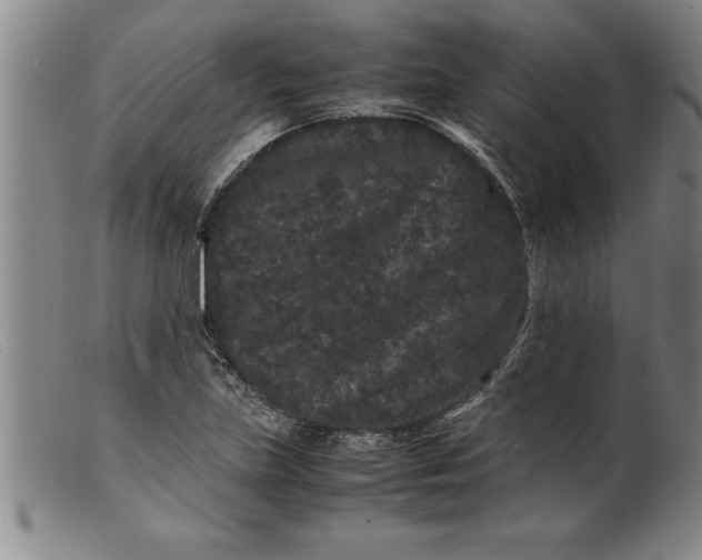 X0000099471219200805231822
