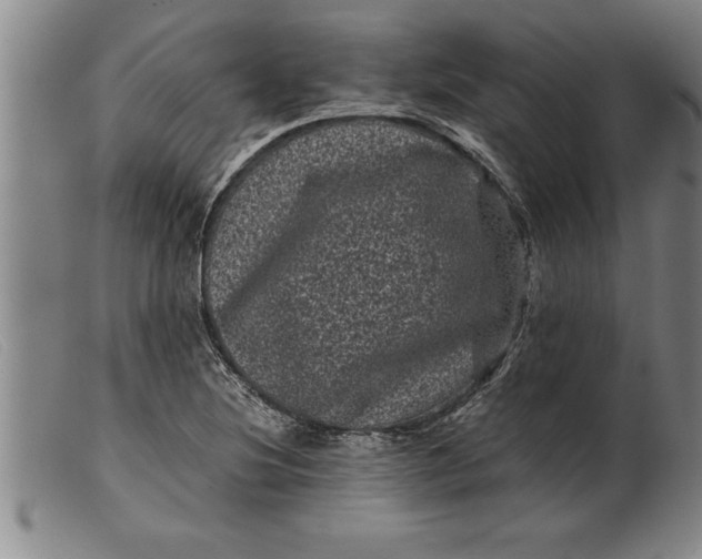 X0000099471220200805231822