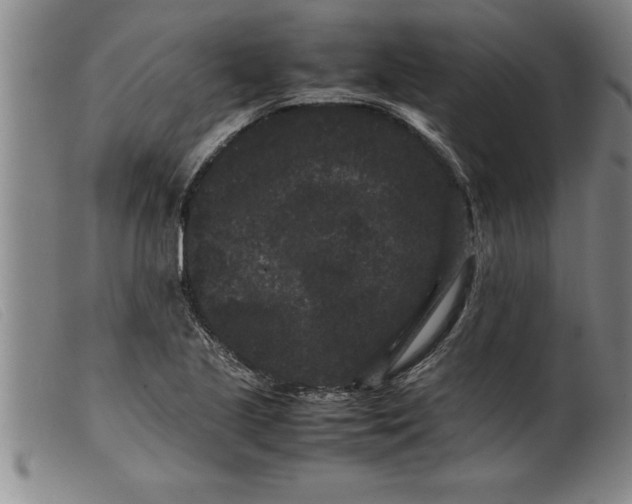 X0000099471221200805231822