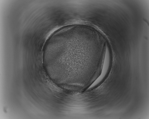 X0000099471222200805231822
