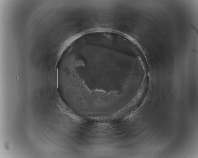 X0000099471223200805231822