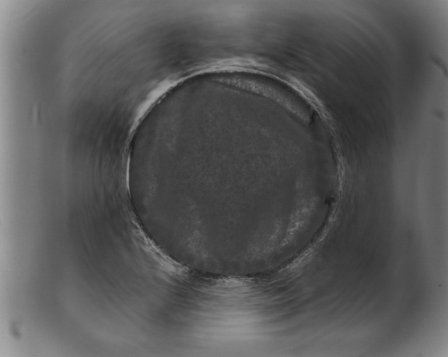 X0000099471224200805231822