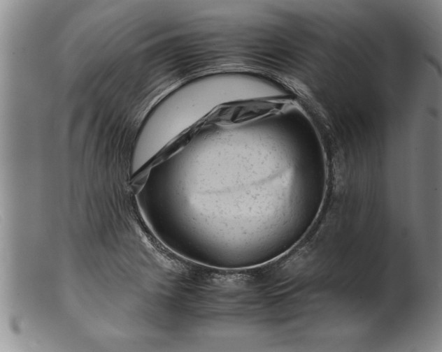 X0000099471225200805231822