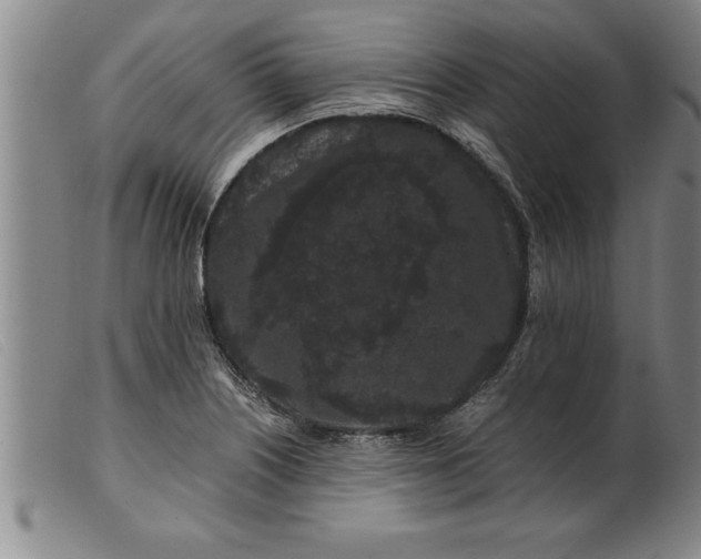 X0000099471226200805231822