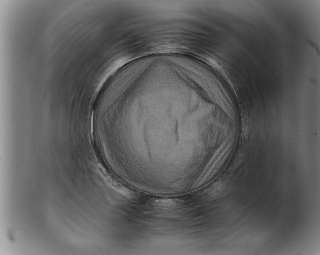 X0000099471227200805231822