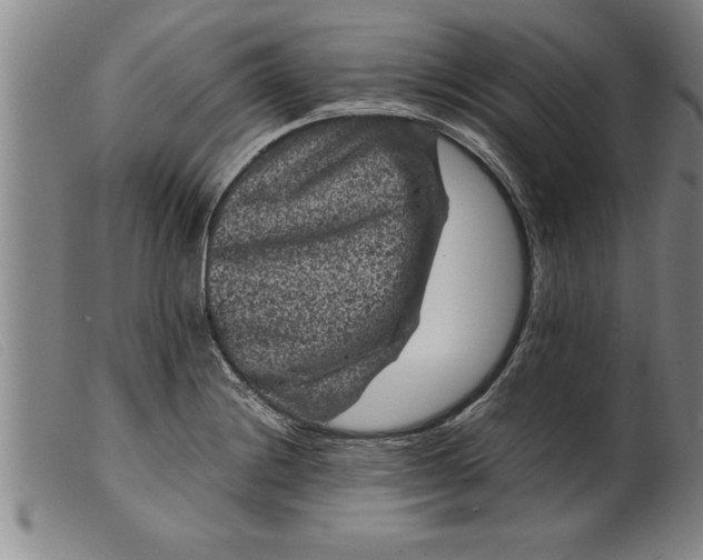 X0000099471228200805231822