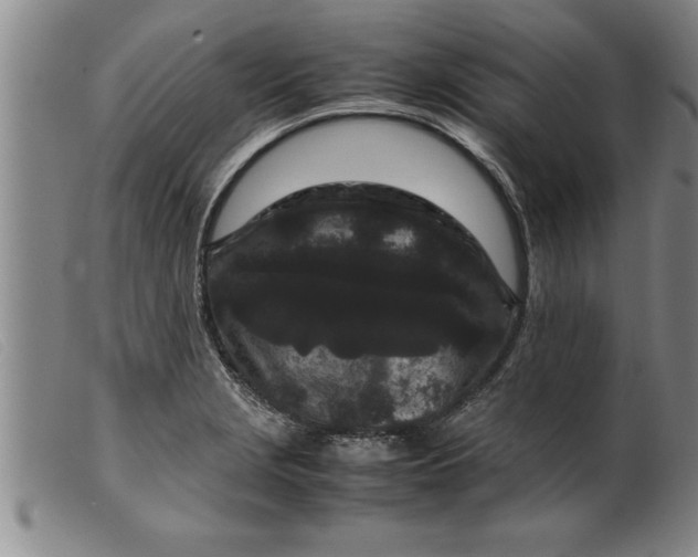 X0000099471229200805231822