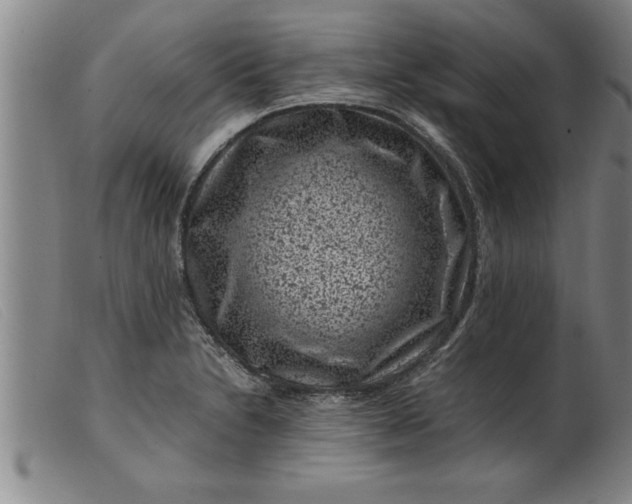 X0000099471230200805231822