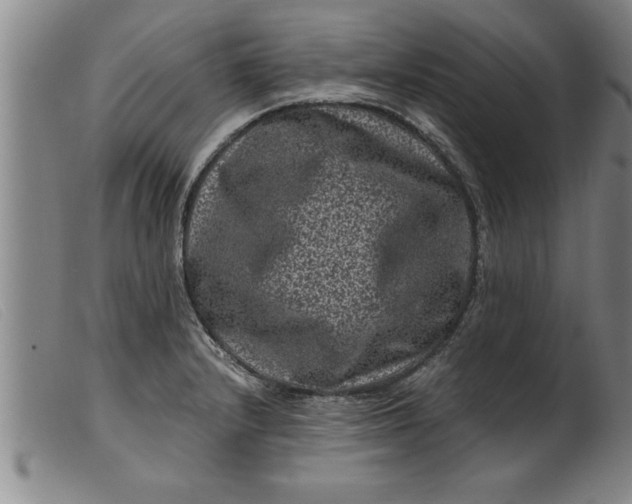 X0000099471232200805231822
