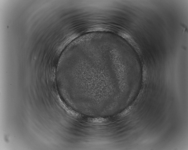 X0000099471233200805231822