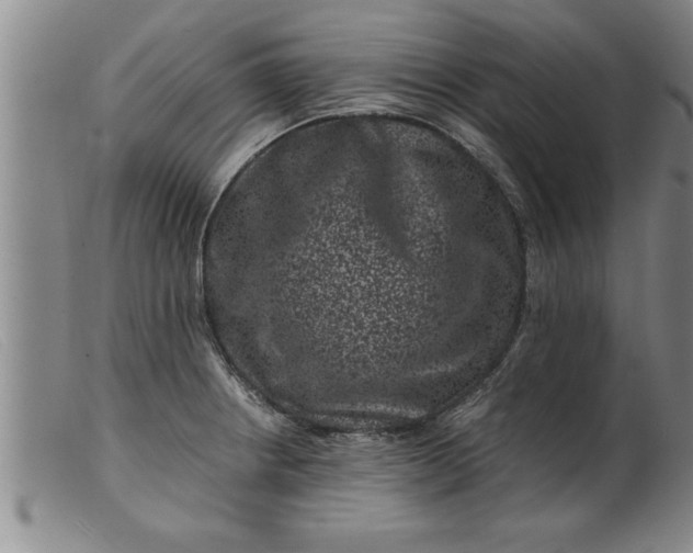 X0000099471234200805231822
