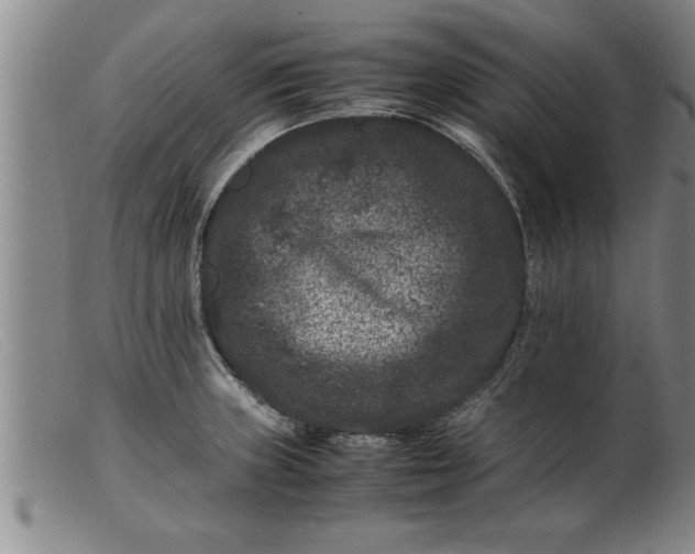 X0000099471235200805231822