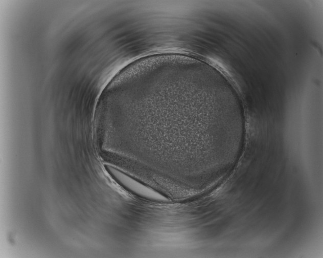 X0000099471236200805231822