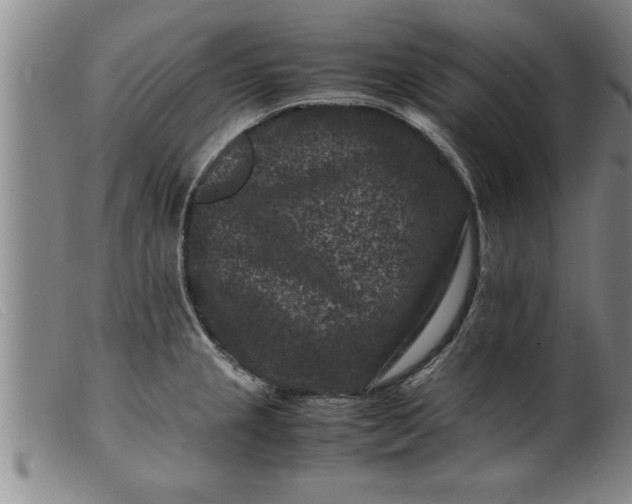 X0000099471237200805231822